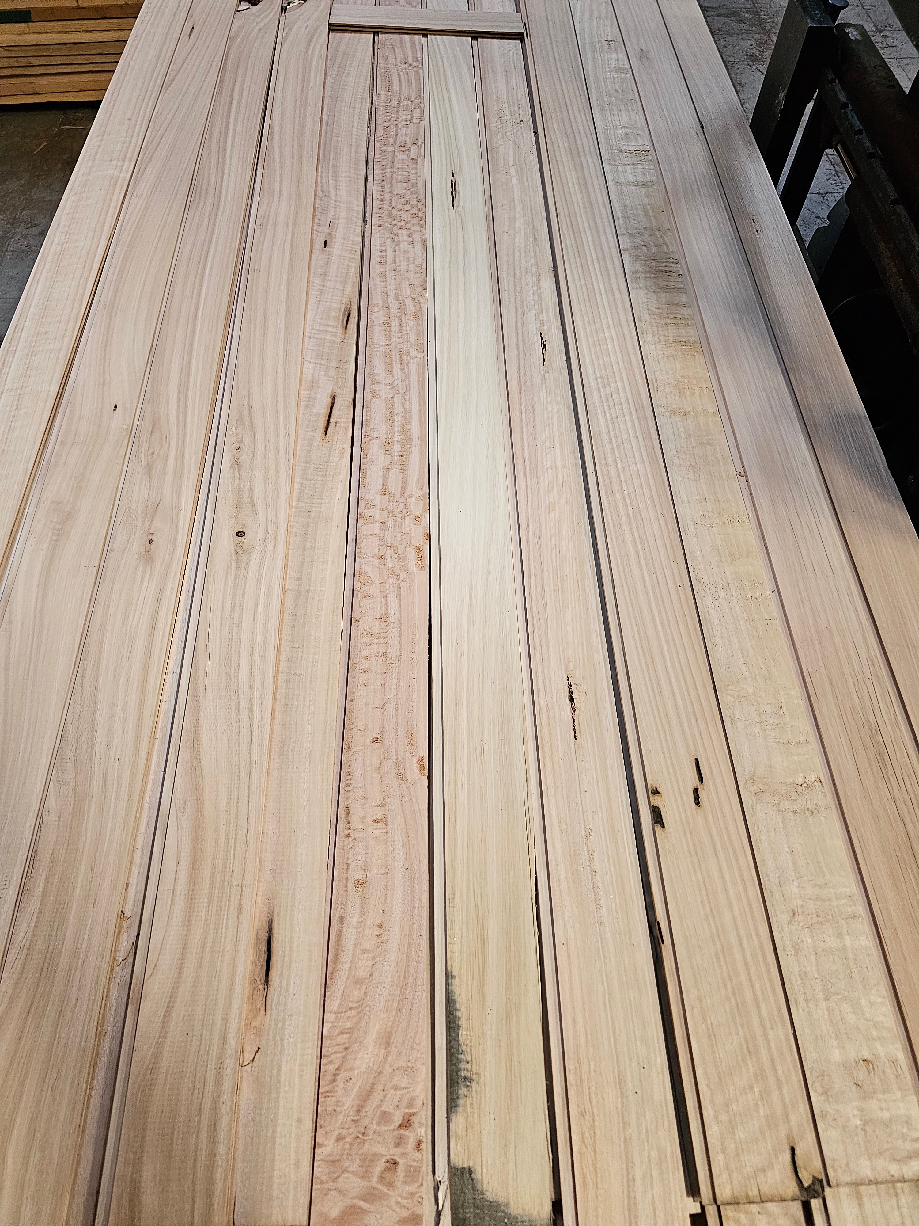 Revestimiento Eucaliptus stock