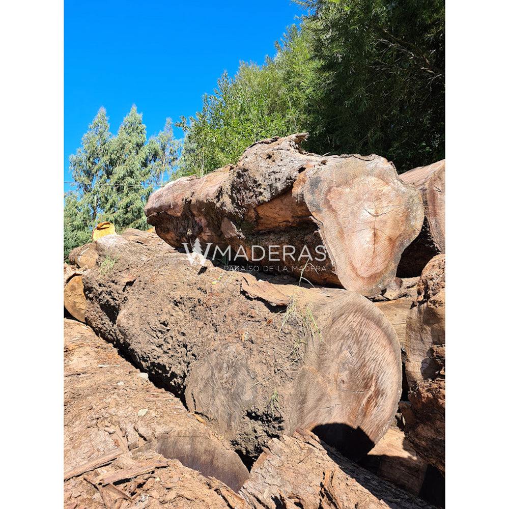 Maderas Aserradas - Roble