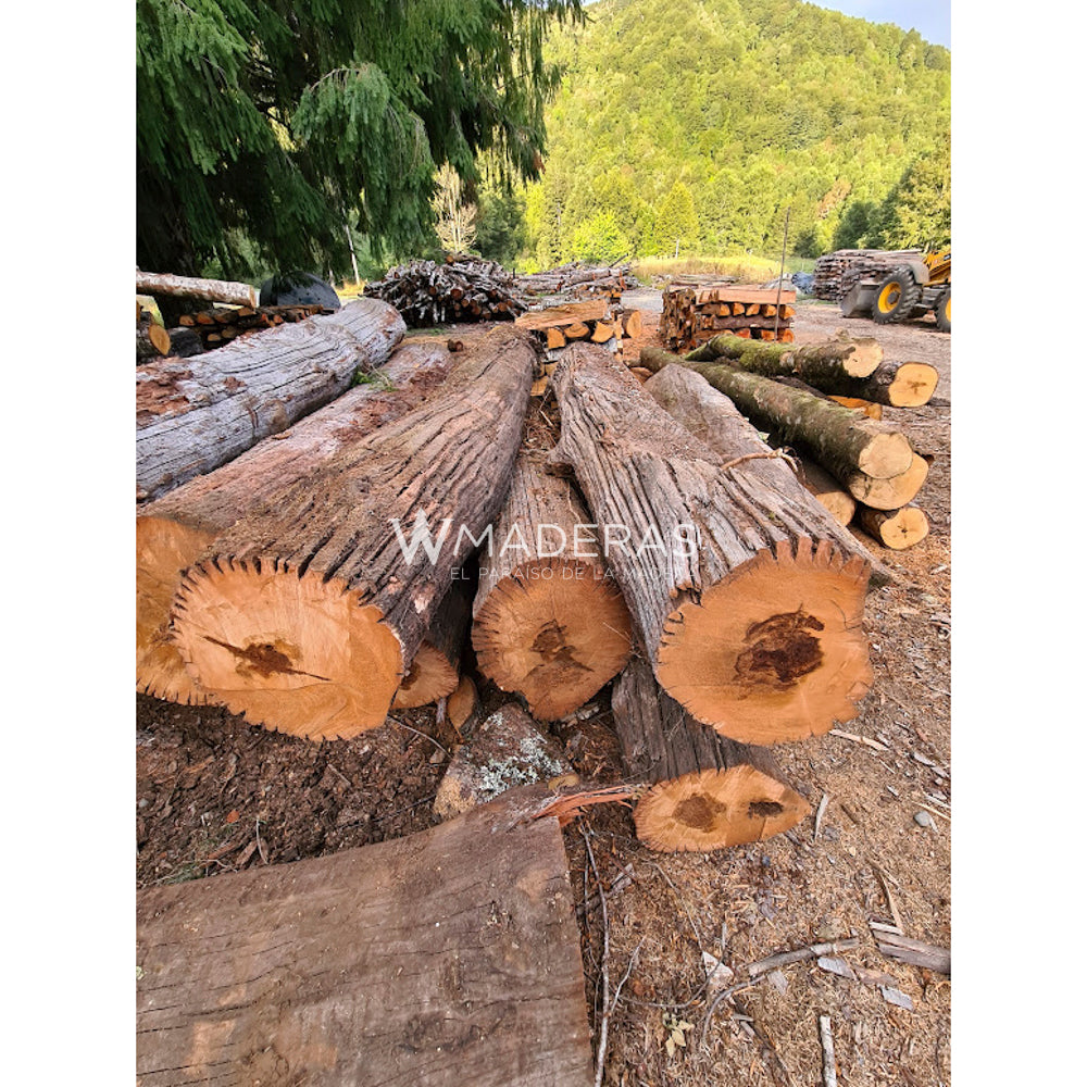 Vigas y Pilares de Madera Reciclada