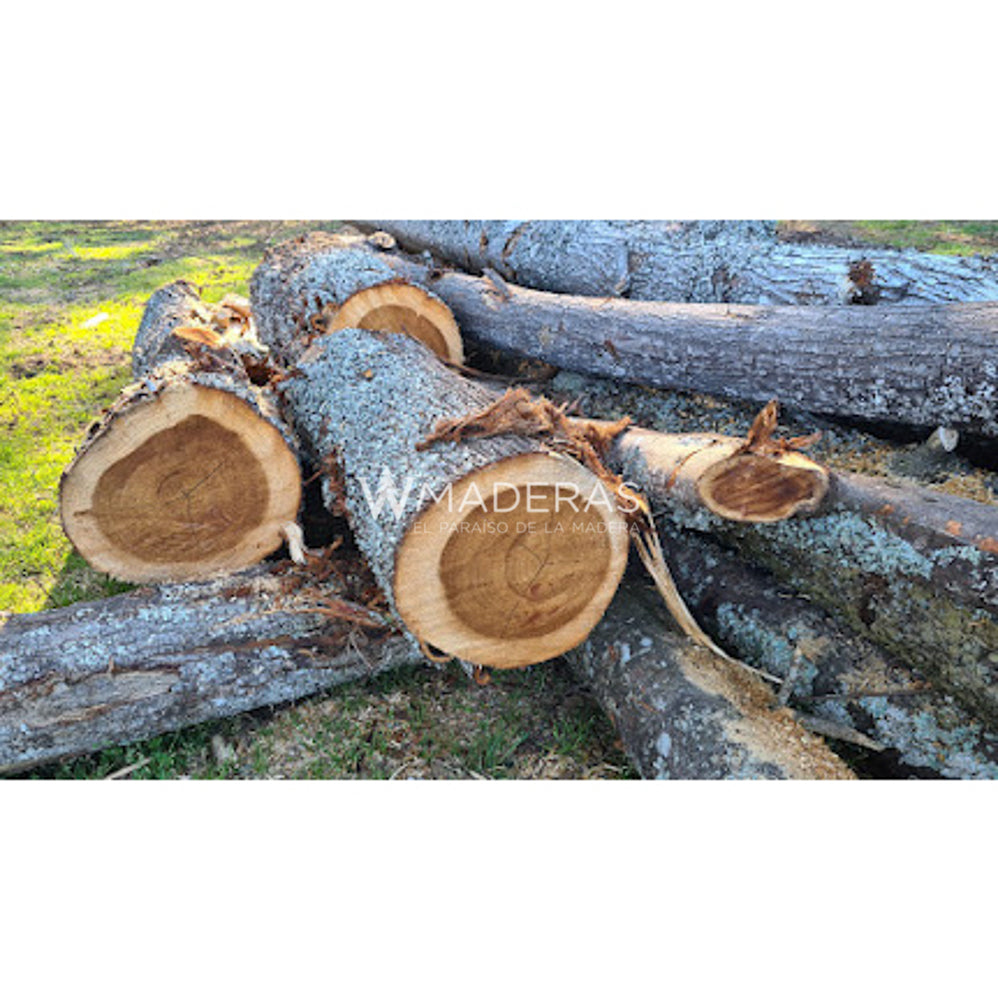 Madera Aromo Australiano