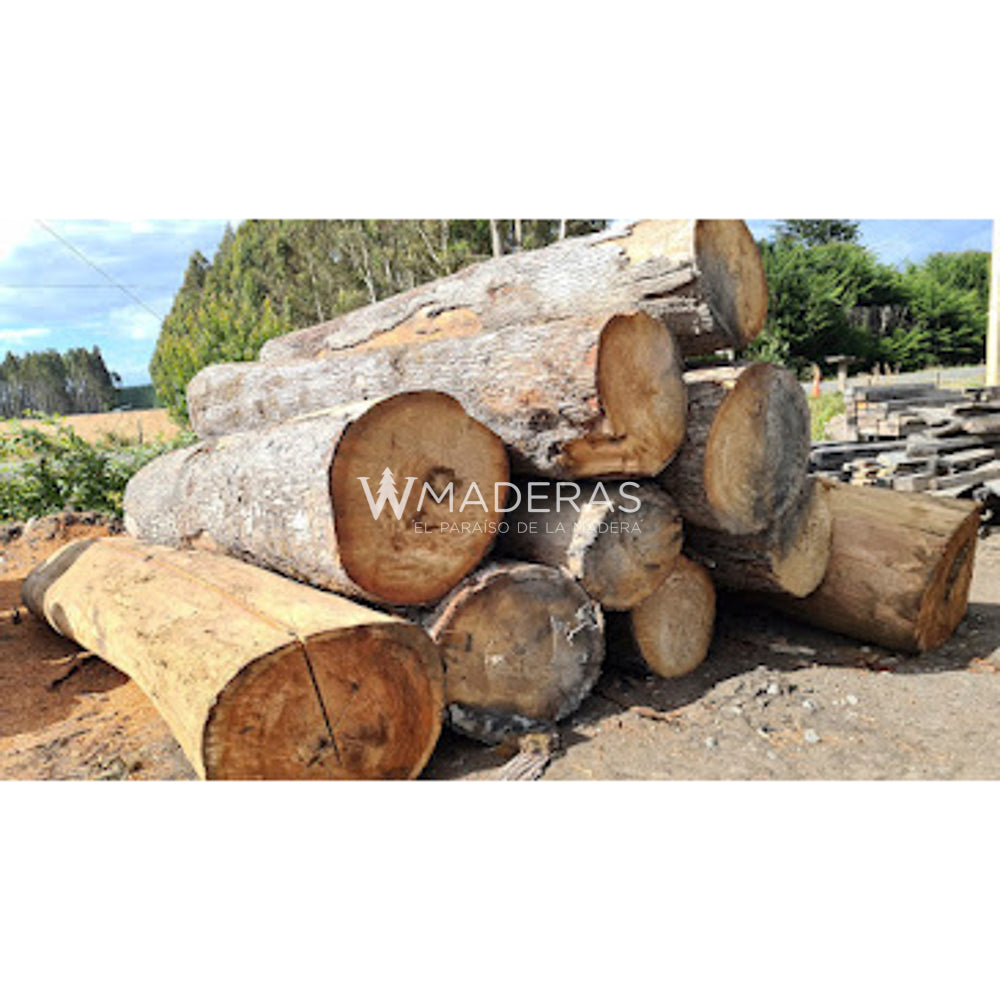 Maderas Aserradas - Coihue
