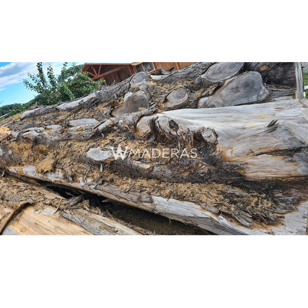 Maderas Aserradas - Ciprés