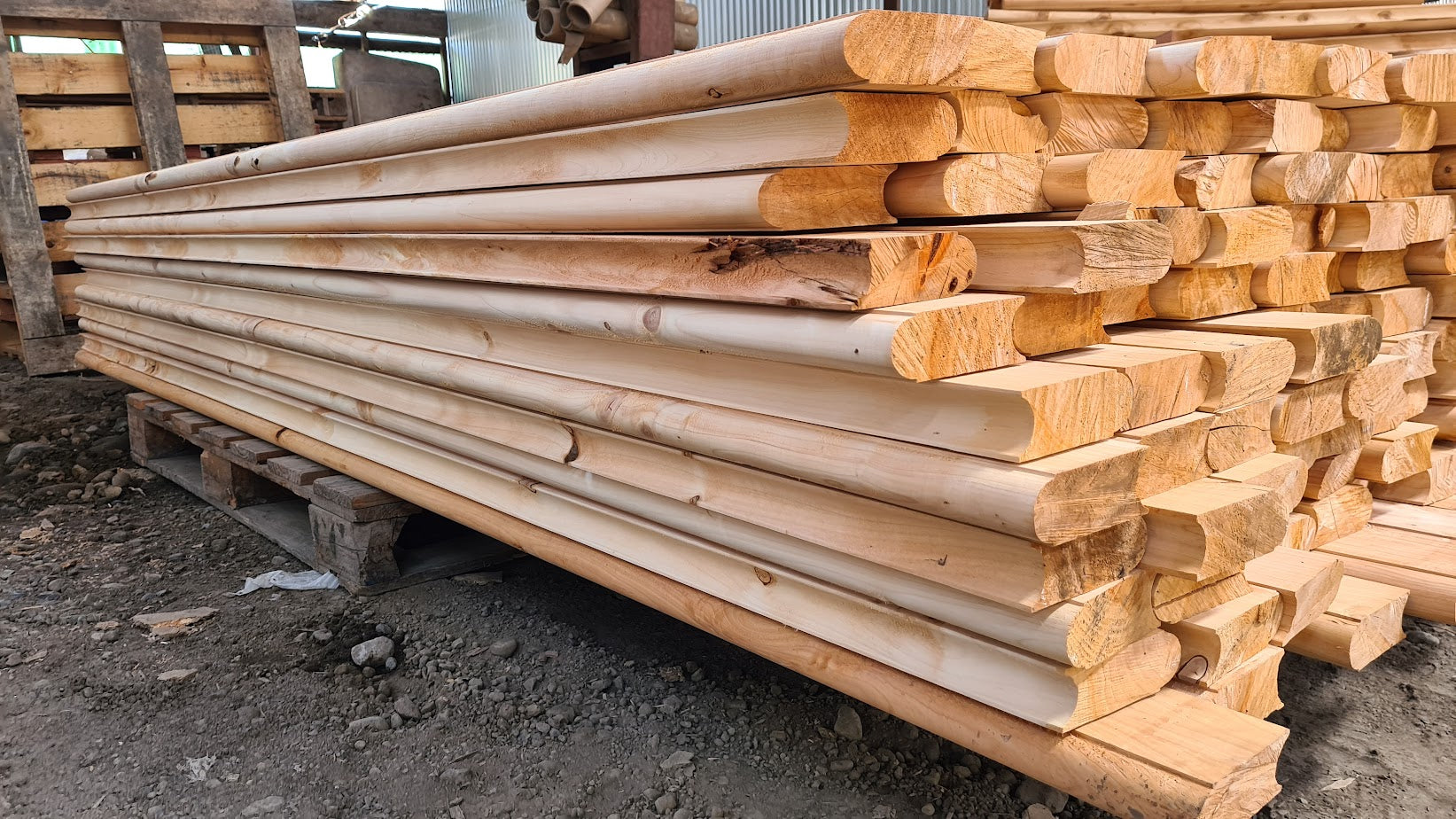 Ciprés para tinajas