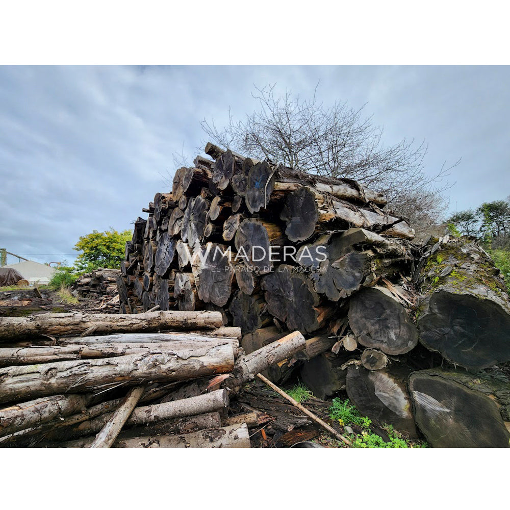 Maderas Aserradas - Ciprés