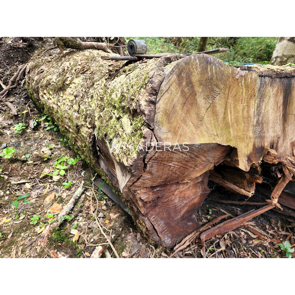 Maderas Aserradas - Laurel