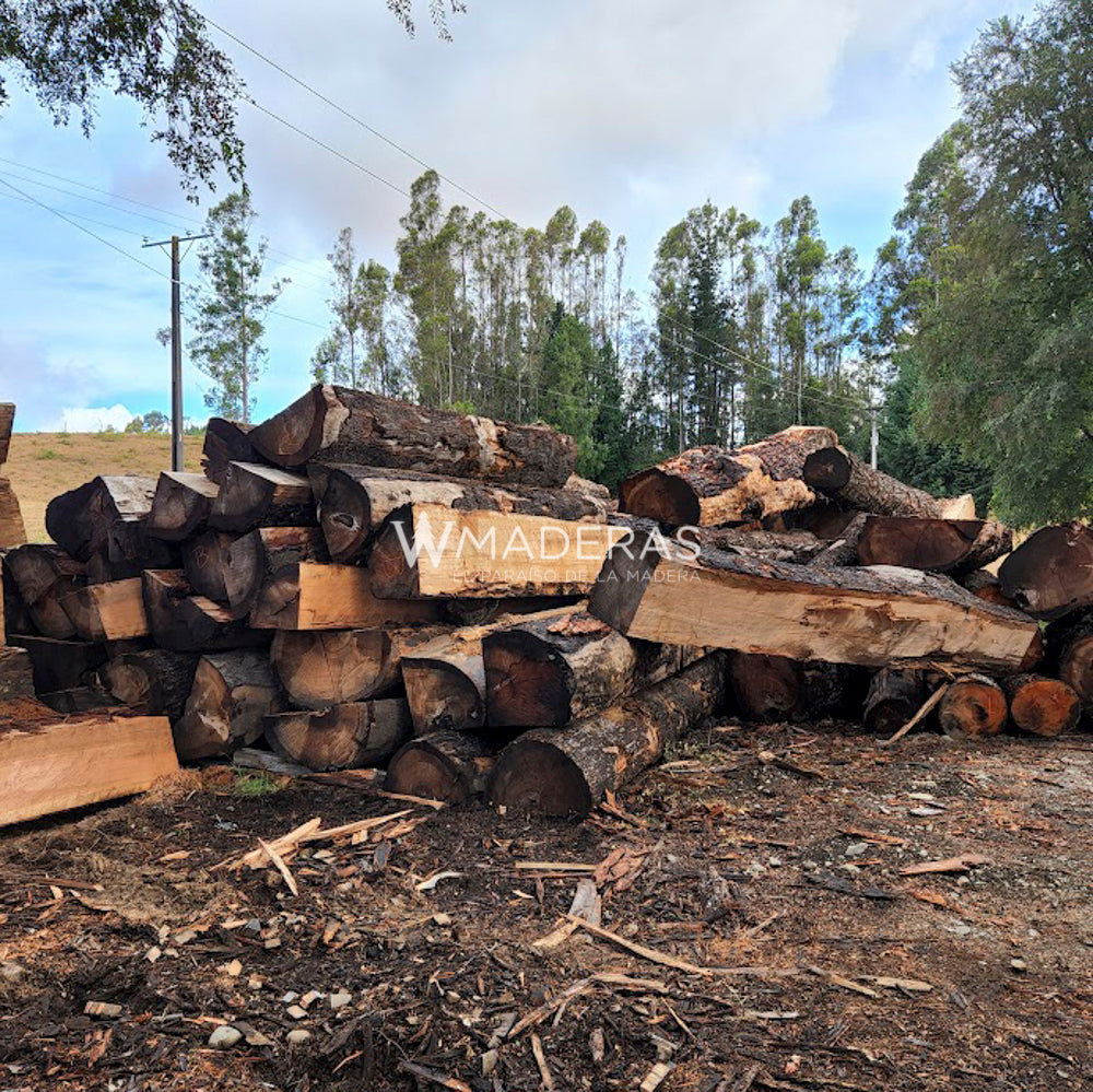Maderas Aserradas - Coihue