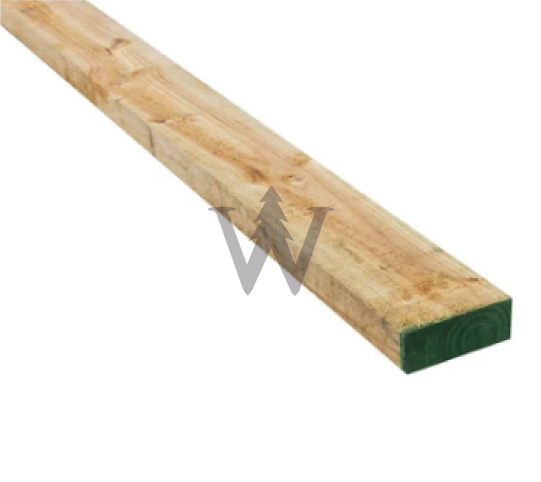 Pino insigne Verde dimensionado