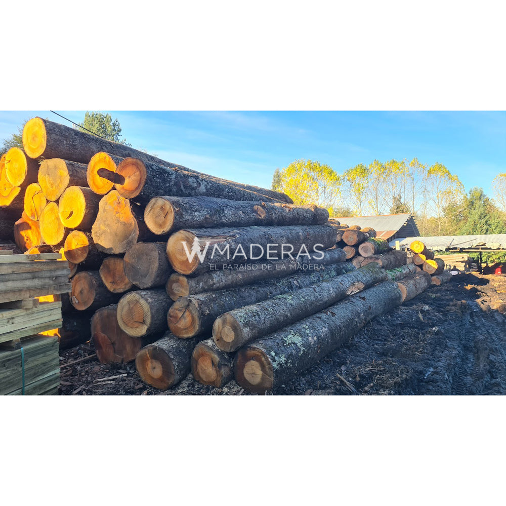 Maderas Aserradas - Roble