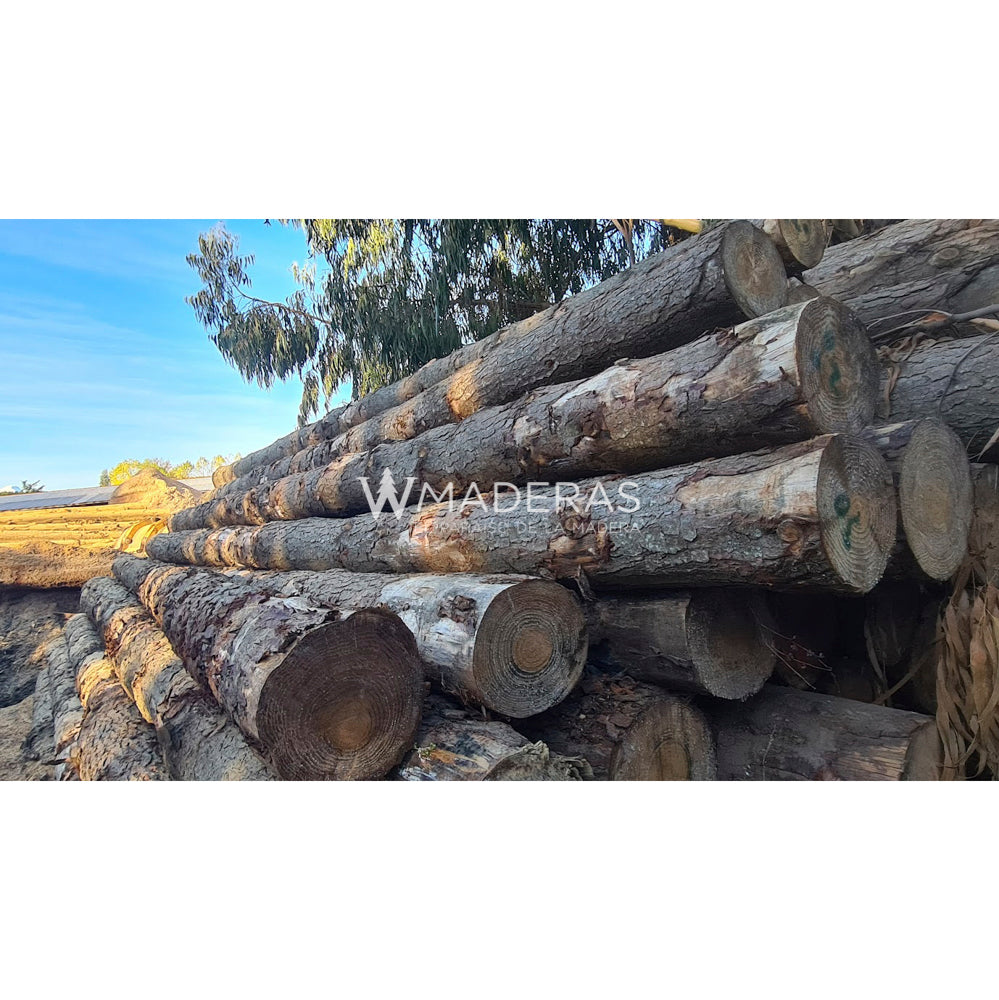 Maderas Aserradas - Pino Insigne