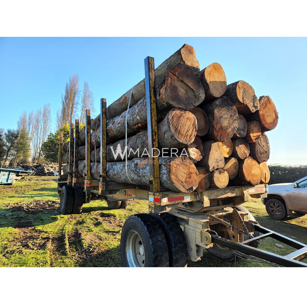 Maderas Aserradas - Roble