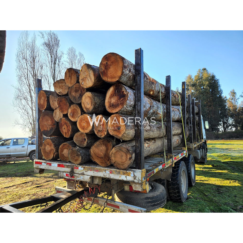 Maderas Aserradas - Roble