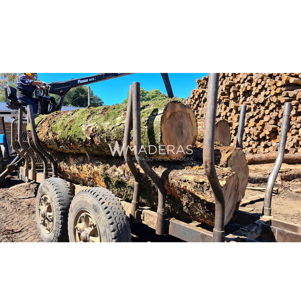 Maderas Aserradas - Laurel