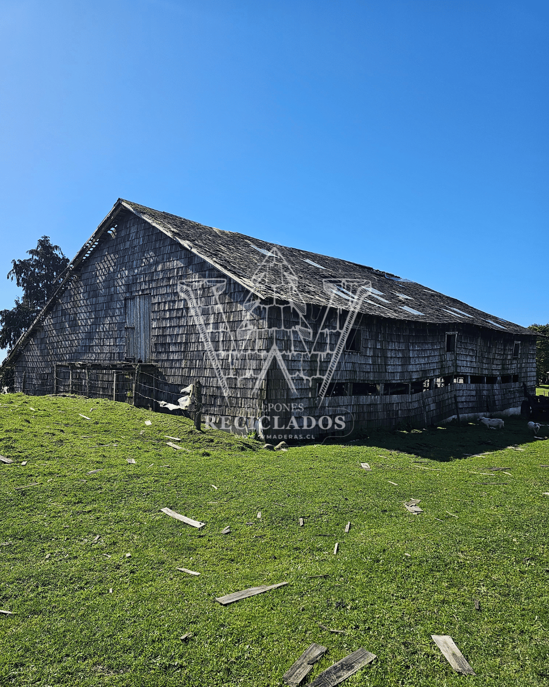 Galpón en Venta