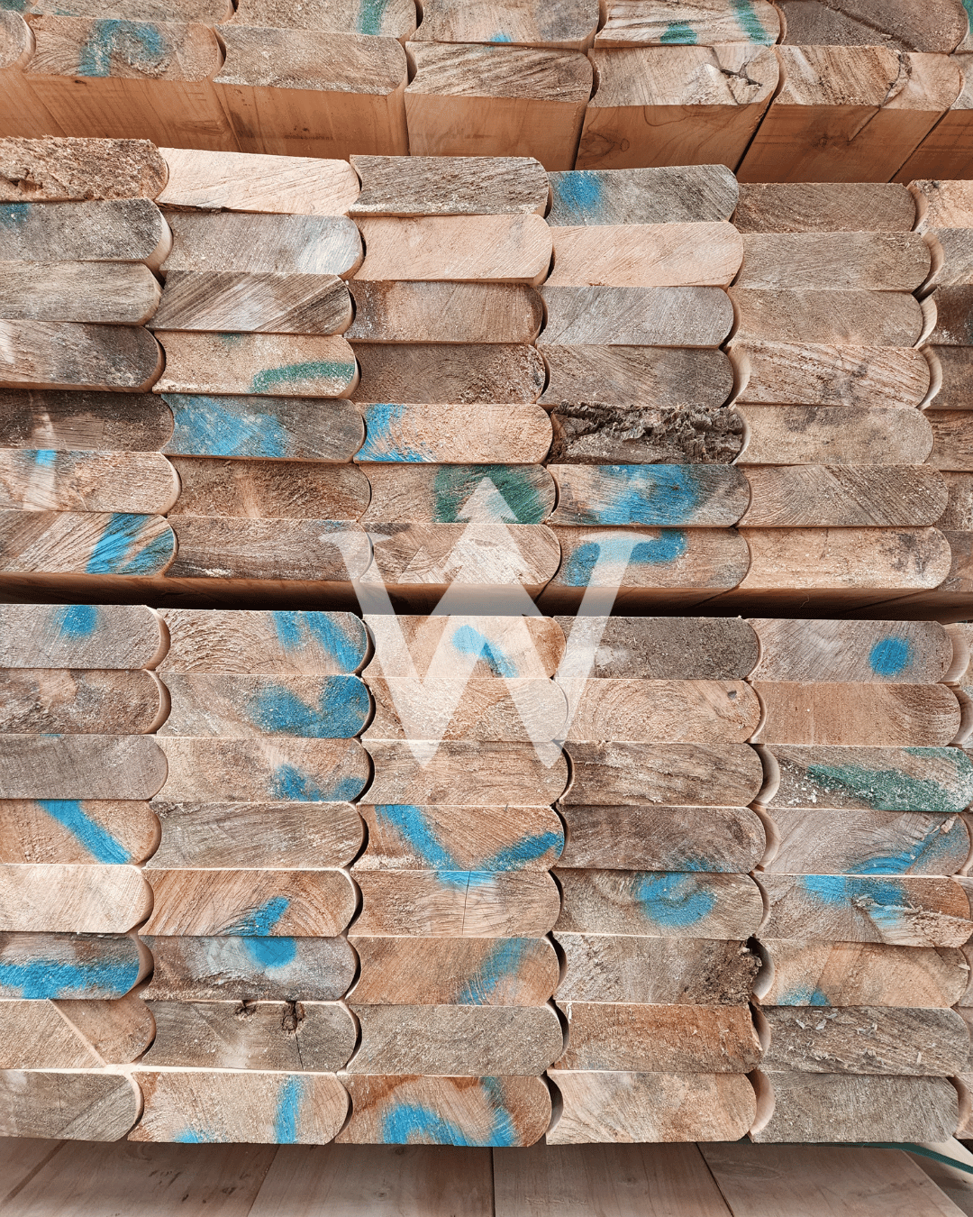 Piezas de Ciprés para fabricación de Tinajas