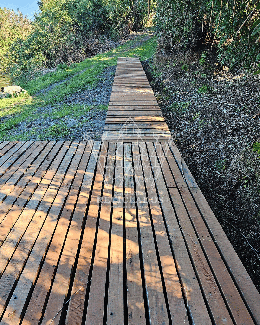 Piso Deck Madera nativa Reciclada / Demolición