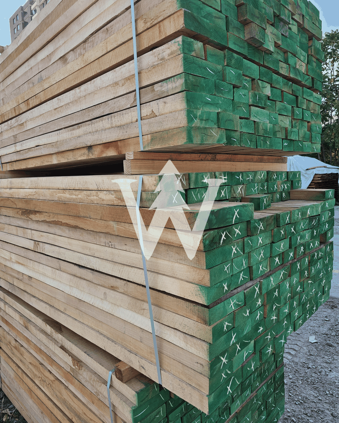 Madera de Lenga Seca en Cámara – Madera Nativa Chilena