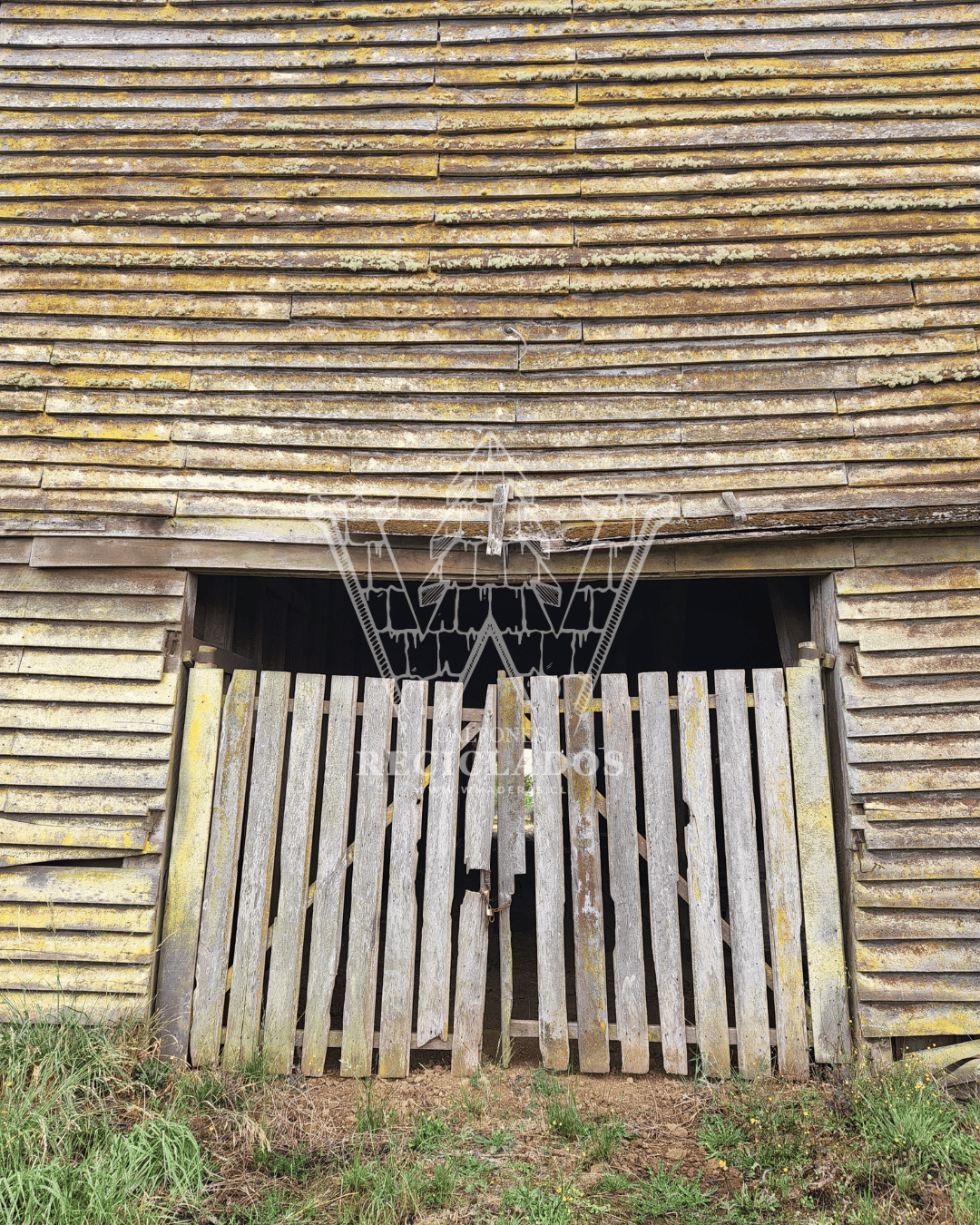 Galpón en Venta – Madera de Laurel Apellinada