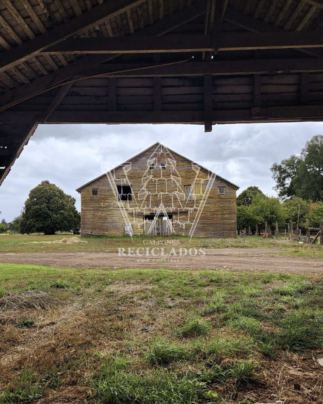 Galpón en Venta – Madera de Laurel Apellinada