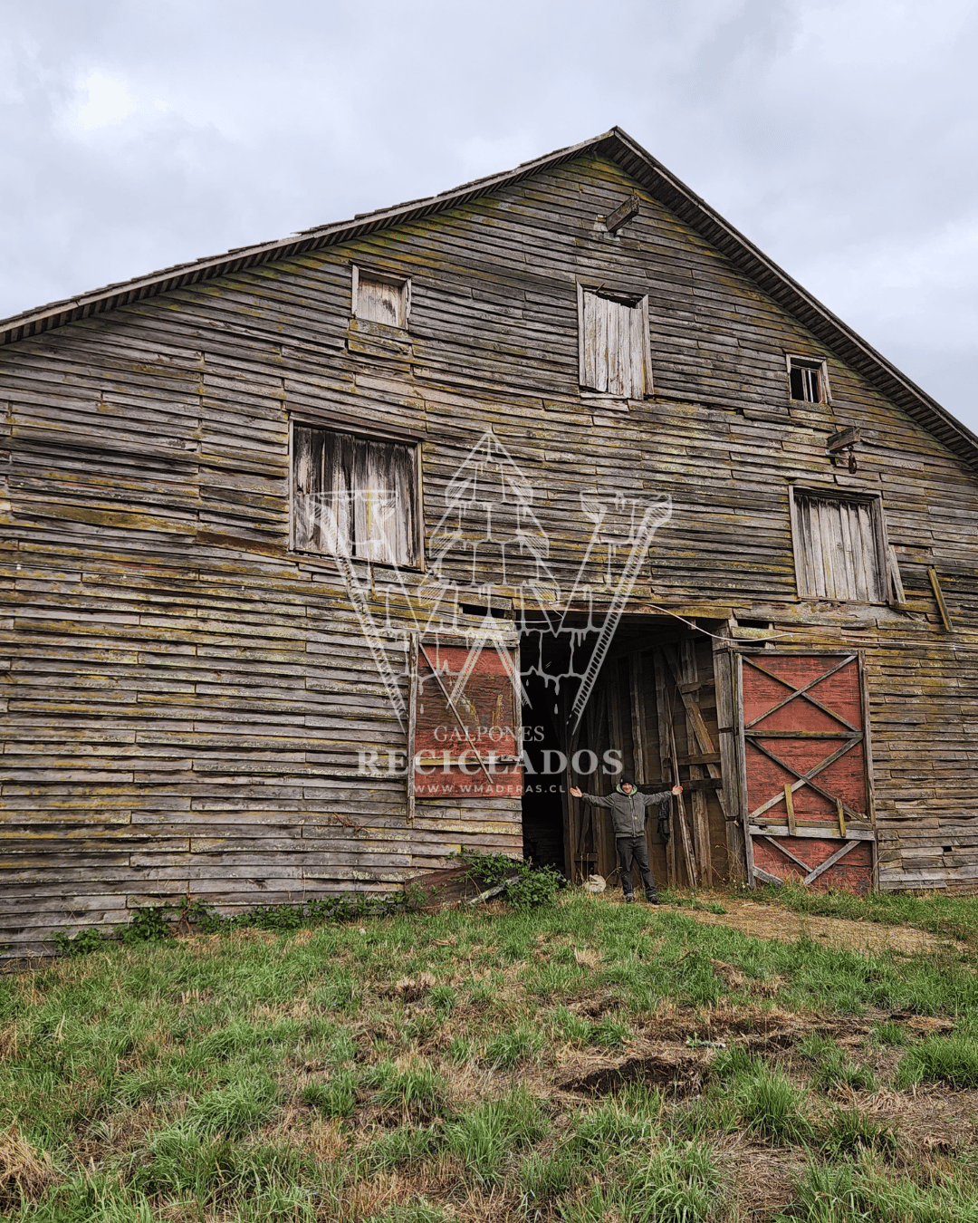 Galpón en Venta – Madera de Laurel Apellinada