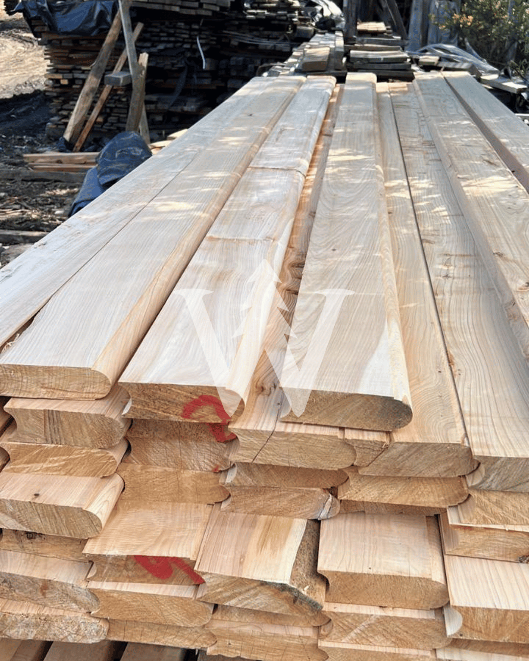 Ciprés para tinajas