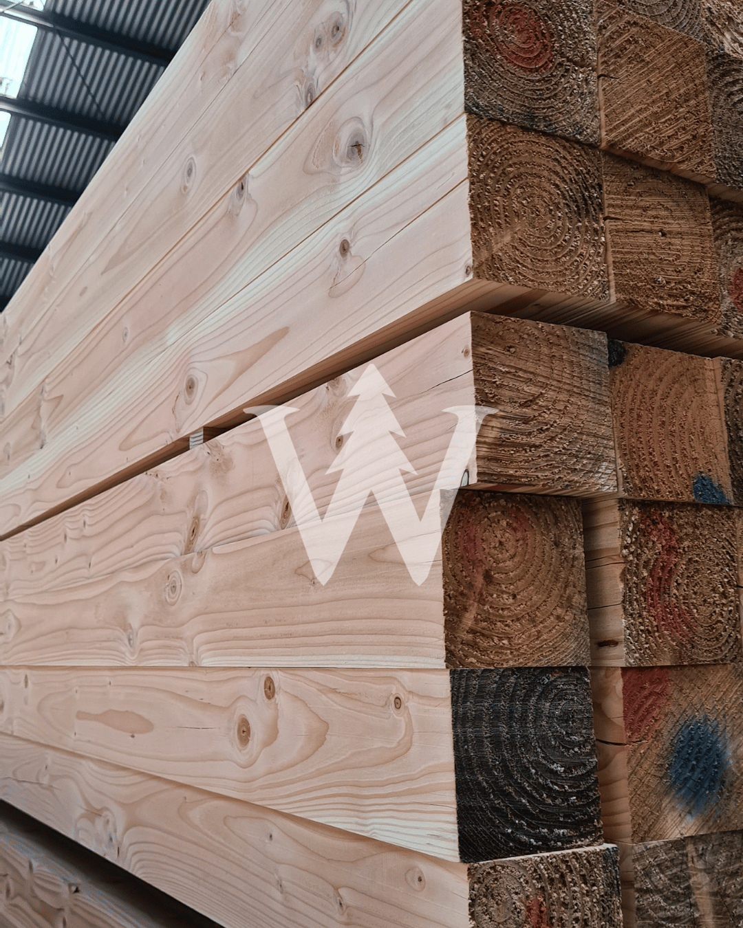 Pino Oregón Cepillado