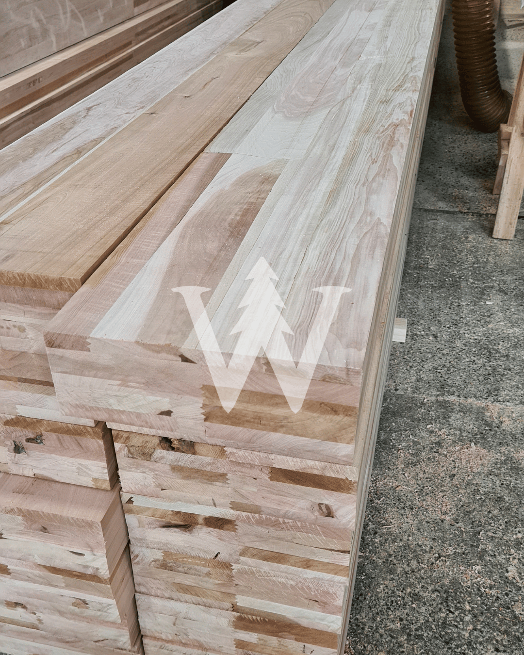 Madera laminada Lenga