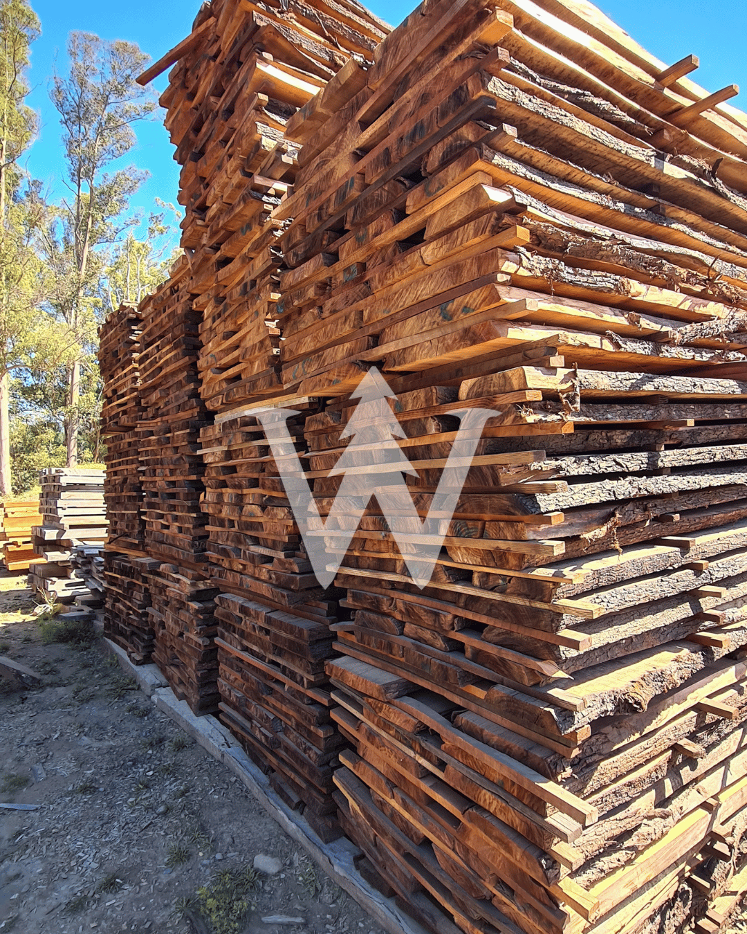 Madera Aromo Australiano