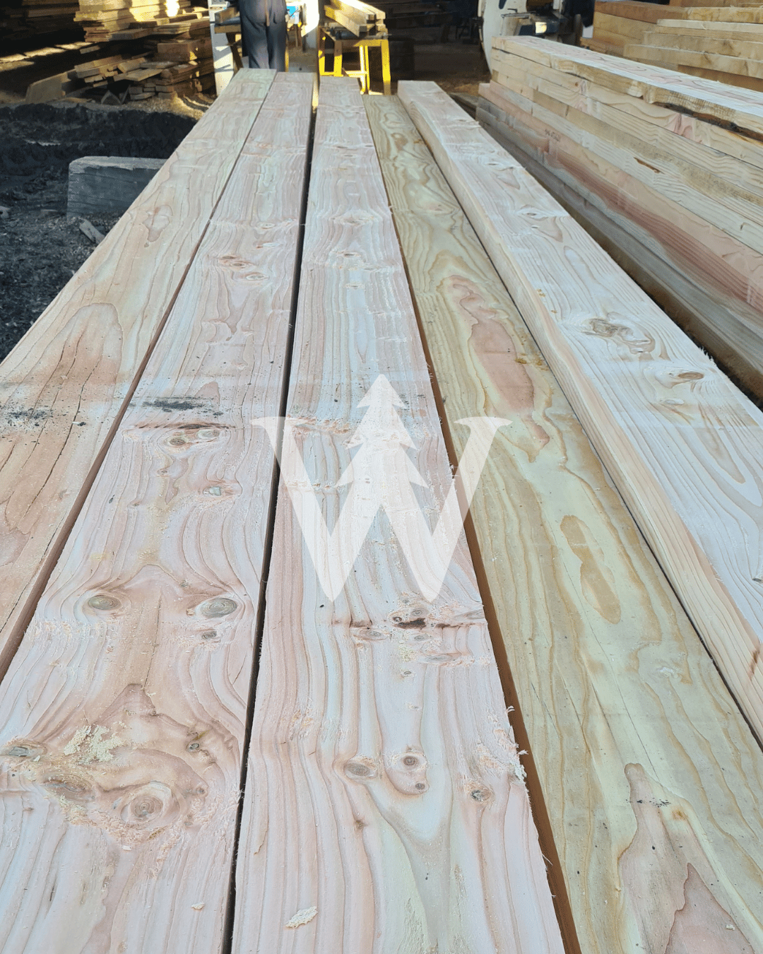 Vigas y Pilares Pino Insigne